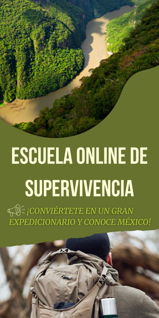 LO NUEVO