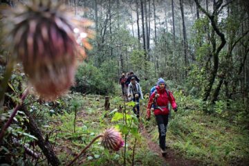 expedicionarios naturales y su manejo de crisis