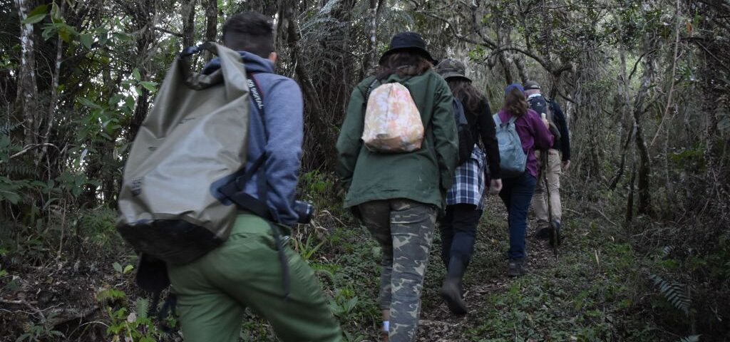 errores más comunes que debes evitar durante las expediciones naturales