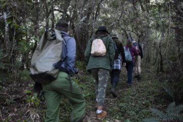 errores más comunes que debes evitar durante las expediciones naturales