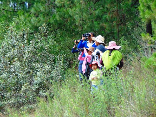 Domina el arte de leer la naturaleza