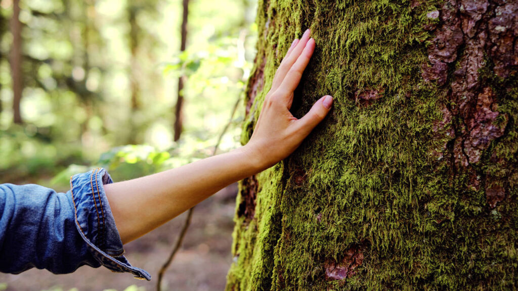 expediciones hacia la conciencia ecológica