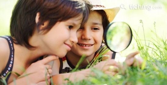 Domina el arte de leer la naturaleza
