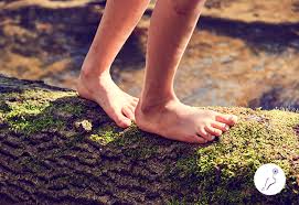 fascinantes maneras de conectar con la naturaleza
