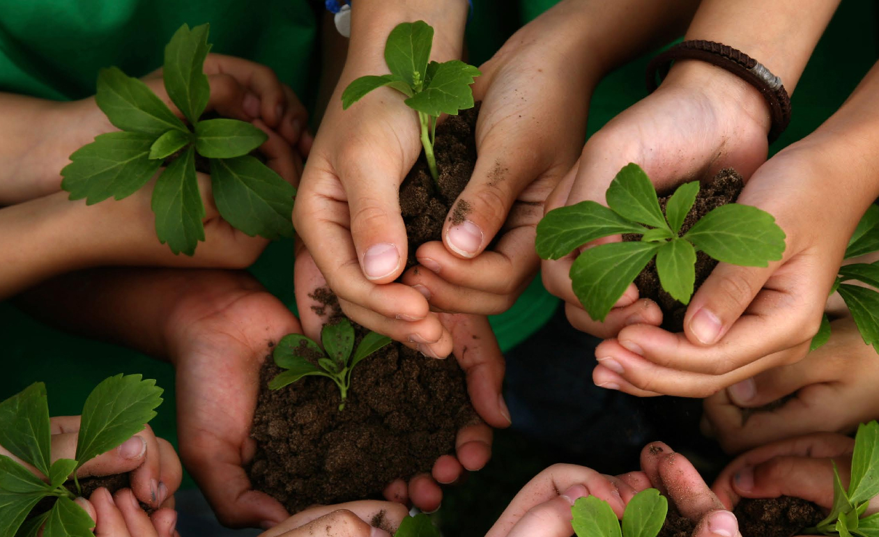 ¿Cómo ser amable con los ecosistemas?